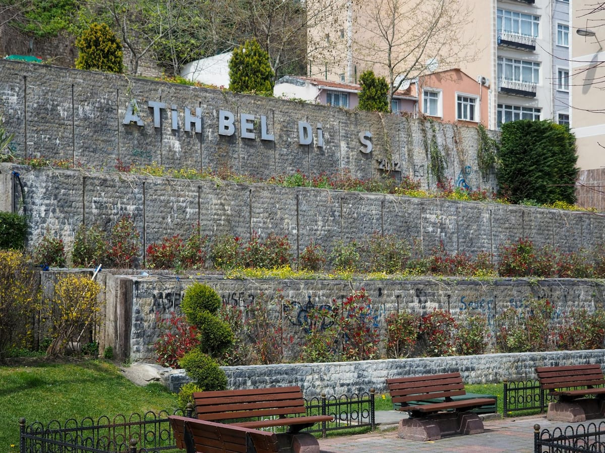 Best Local Spots in Ditmas Park: Brooklyn Guide